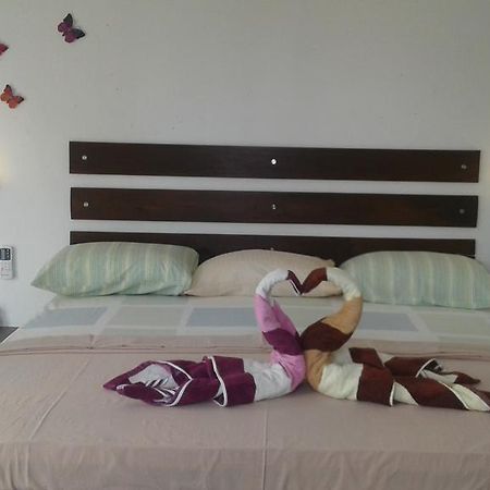 Petit Guest House 니곰보 외부 사진